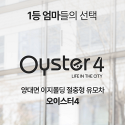 [ 오이스터 ]